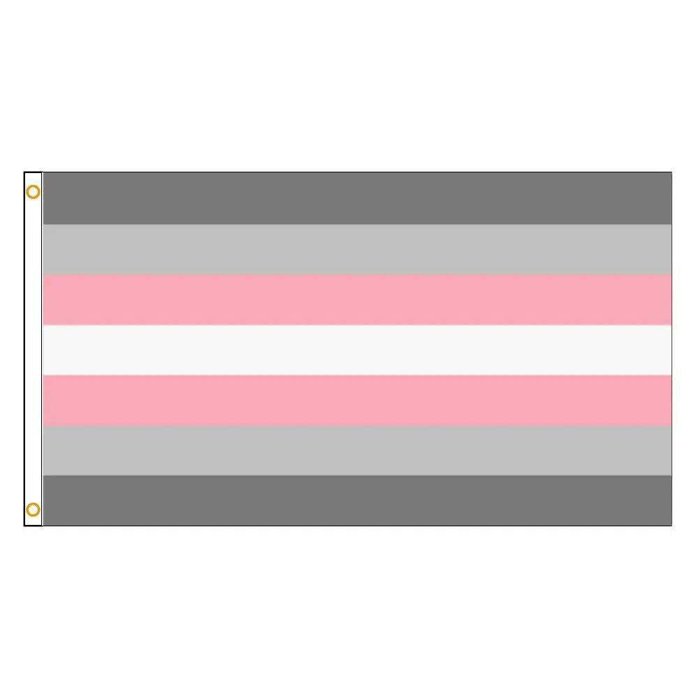 Demigirl Pride Flag - 90x150cm(3x5ft) - 60x90cm(2x3ft) - LGBTQIA2S+