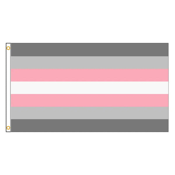 Demigirl Pride Flag - 90x150cm(3x5ft) - 60x90cm(2x3ft) - LGBTQIA2S+