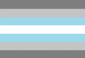 Demigirl Pride Flag - 90x150cm(3x5ft) - 60x90cm(2x3ft) - LGBTQIA2S+