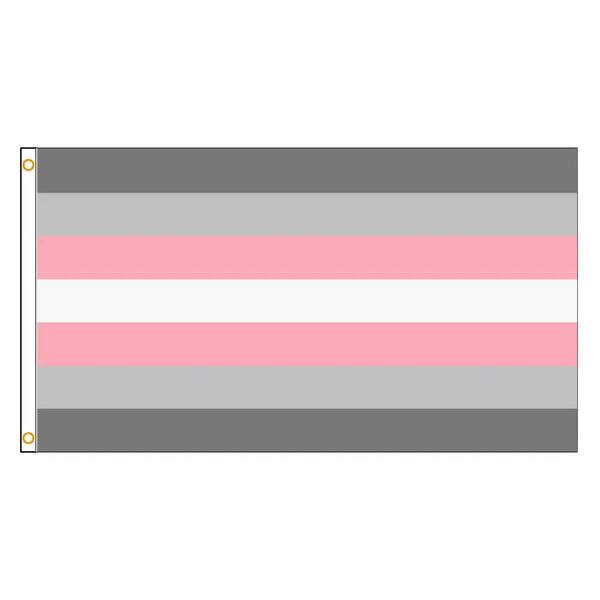 Demigirl Pride Flag - 90x150cm(3x5ft) - 60x90cm(2x3ft) - LGBTQIA2S+