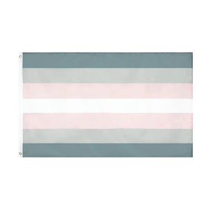 Demigirl Pride Flag - 90x150cm(3x5ft) - 60x90cm(2x3ft) - LGBTQIA2S+