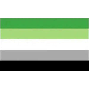 Demisexual Pride Flag - 90x150cm(3x5ft) - 60x90cm(2x3ft) - LGBTQIA2S+