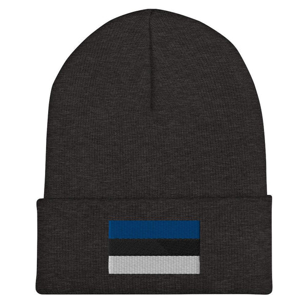 Estonia Flag Beanie - Embroidered Winter Hat