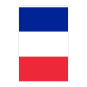France Flag Bunting Banner - 20Pcs