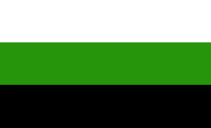 Gendervoid Pride Flag - 90x150cm(3x5ft) - 60x90cm(2x3ft) - LGBTQIA2S+