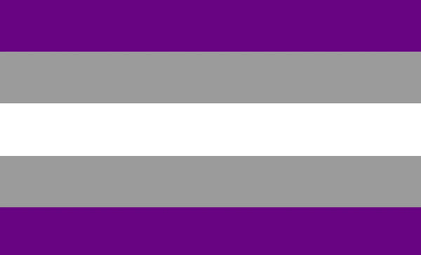 Graysexual Pride Flag - 90x150cm(3x5ft) - 60x90cm(2x3ft) - LGBTQIA2S+