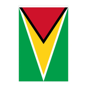 Guyana Flag Bunting Banner - 20Pcs