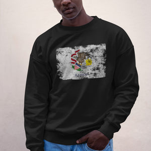 Illinois State Flag Sweatshirt