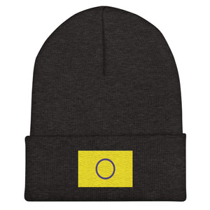 Intersex Flag Beanie - Embroidered LGBT+ Winter Hat