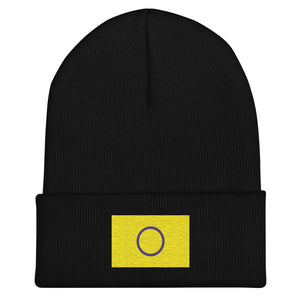 Intersex Flag Beanie - Embroidered LGBT+ Winter Hat
