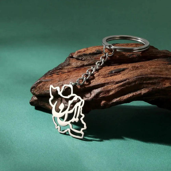 Iran Flag Map Keychain Collection
