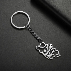 Iran Flag Map Keychain Collection
