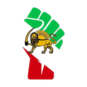 Iran Flag Sticker Collection - Vinyl Bumper Stickers