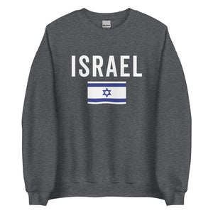 Israel Flag Sweatshirt