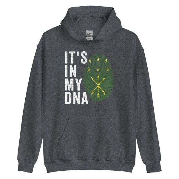 It's In My DNA - Adygea Flag Hoodie