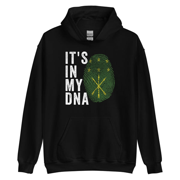 It's In My DNA - Adygea Flag Hoodie