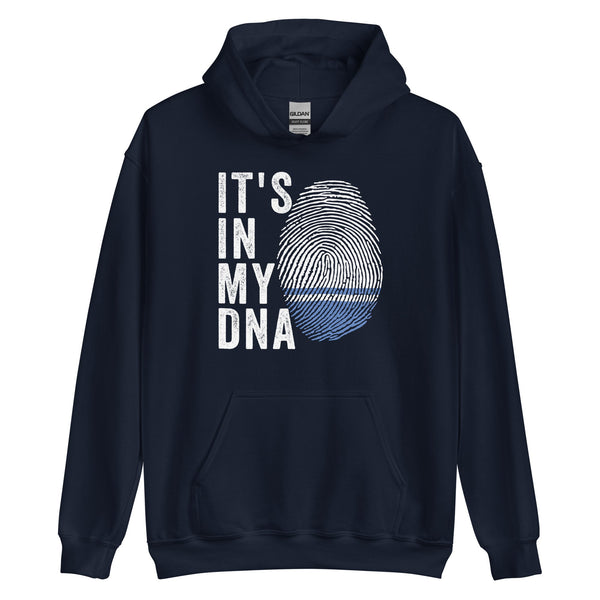 It's In My DNA - Altai Republic Flag Hoodie