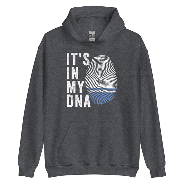 It's In My DNA - Altai Republic Flag Hoodie