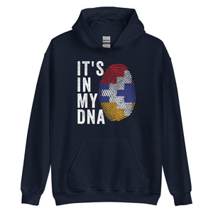 It's In My DNA - Artsakh Flag Hoodie