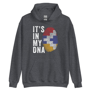 It's In My DNA - Artsakh Flag Hoodie