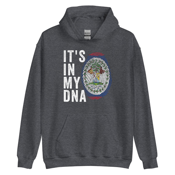 It's In My DNA - Belize Flag Hoodie