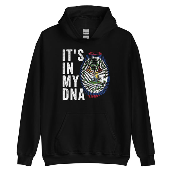 It's In My DNA - Belize Flag Hoodie