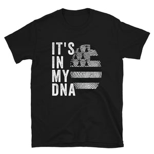 It's In My DNA - Brittany Flag T-Shirt