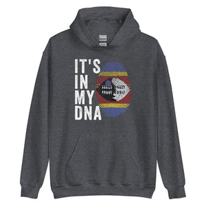 It's In My DNA - Swaziland Flag Hoodie