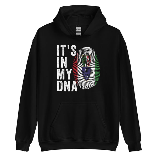 It's In My DNA - Federation of Bosnia and Herzegovina Flag Hoodie