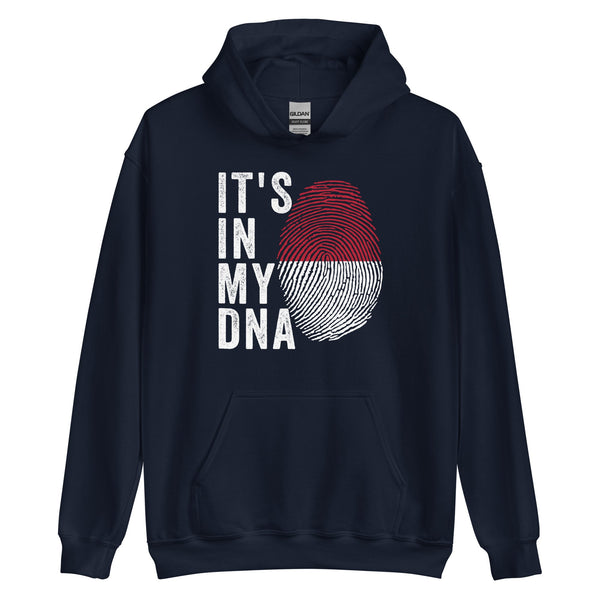 It's In My DNA - Indonesia Flag Hoodie