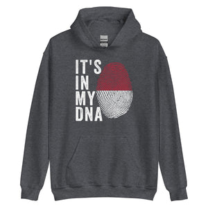 It's In My DNA - Indonesia Flag Hoodie