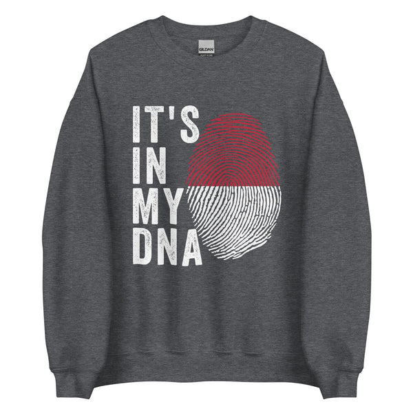 It's In My DNA - Indonesia Flag Sweatshirt