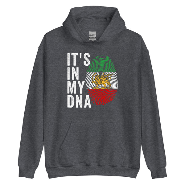 It's In My DNA - Iran Flag Hoodie