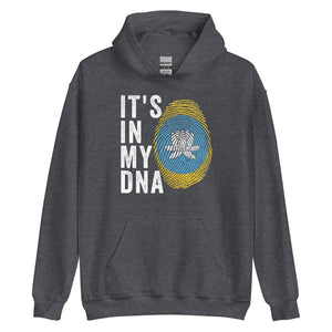 It's In My DNA - Kalmykia Flag Hoodie