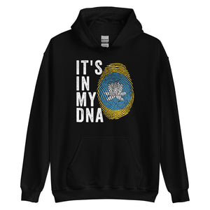 It's In My DNA - Kalmykia Flag Hoodie