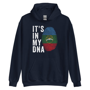 It's In My DNA - Karachay Cherkessia Flag Hoodie