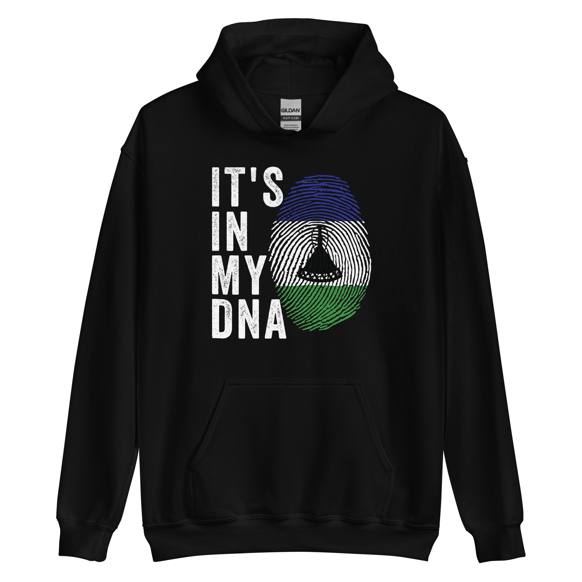 It's In My DNA - Lesotho Flag Hoodie