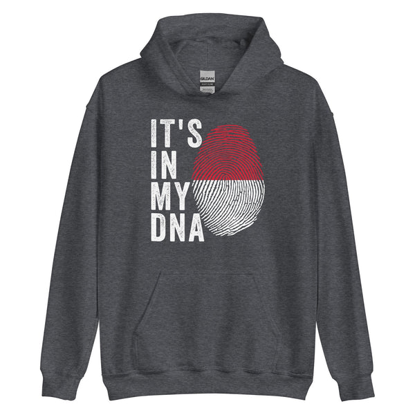 It's In My DNA - Monaco Flag Hoodie