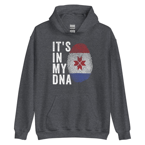 It's In My DNA - Mordovia Flag Hoodie