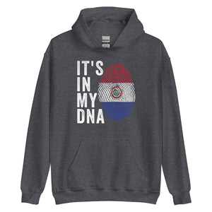 It's In My DNA - Paraguay 1990-2013 Flag Hoodie