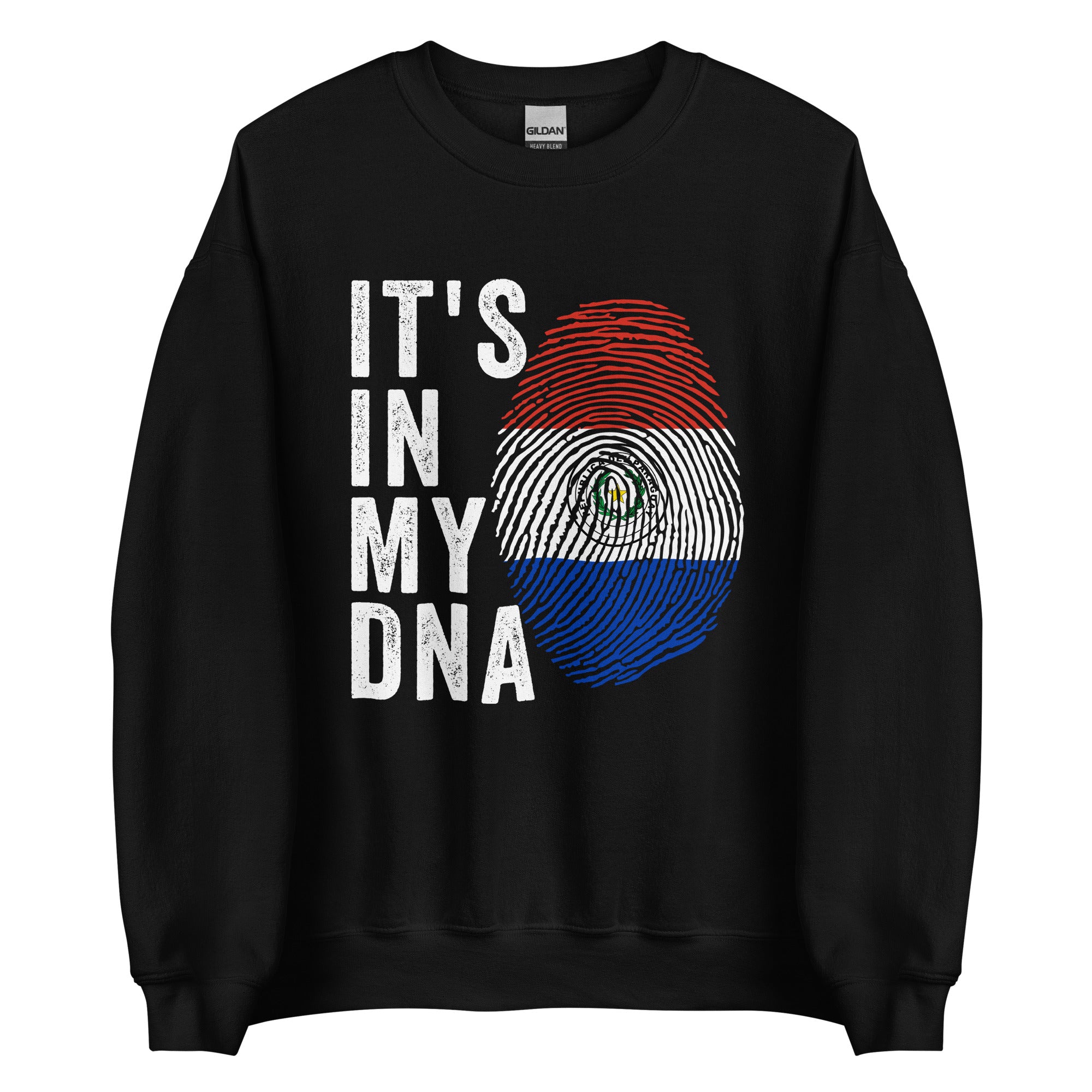 It's In My DNA - Paraguay Flag Sweatshirt
