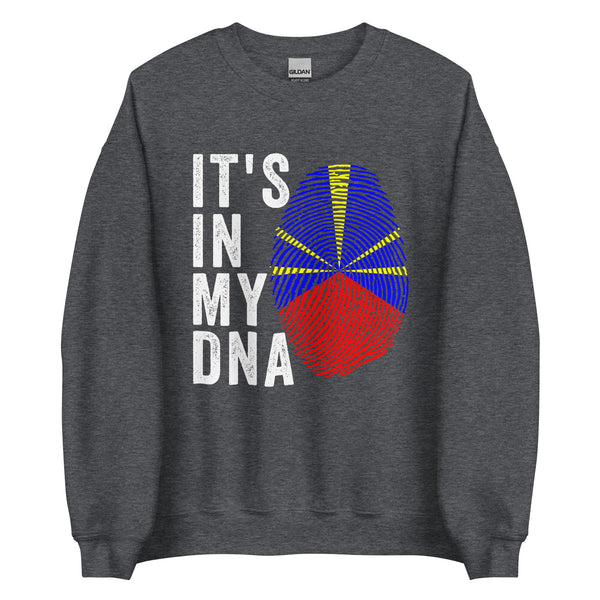 It's In My DNA - Réunion Flag Sweatshirt