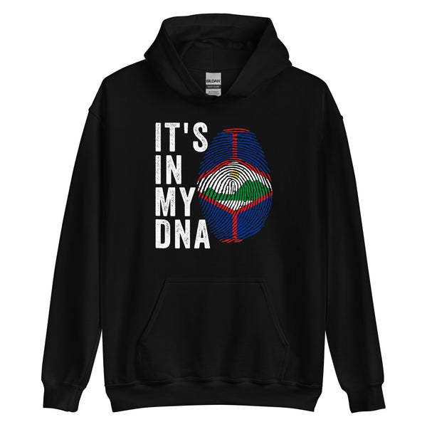 It's In My DNA - Sint Eustatius Flag Hoodie