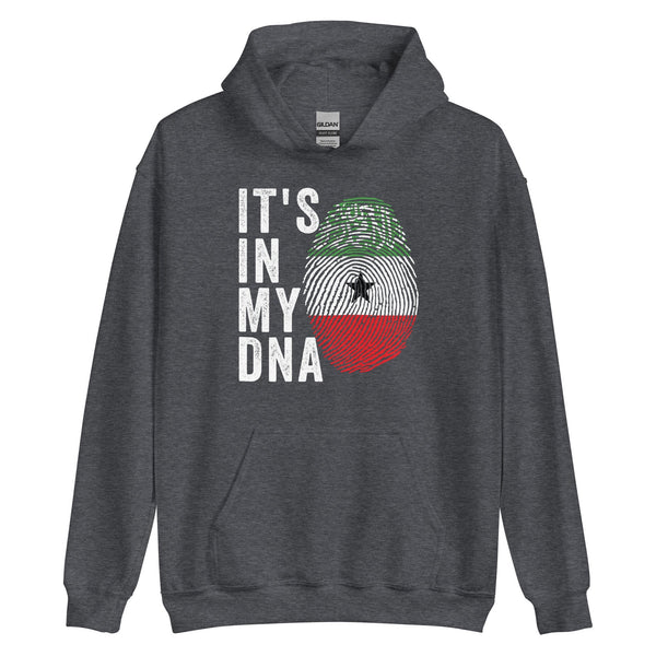 It's In My DNA - Somaliland Flag Hoodie