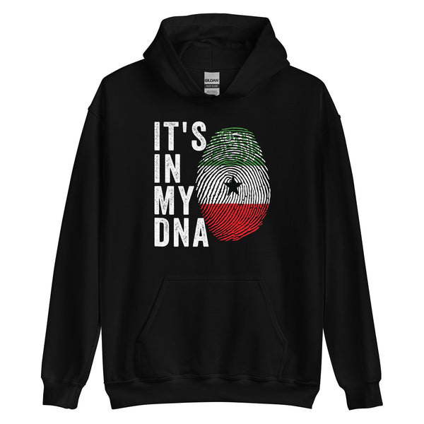 It's In My DNA - Somaliland Flag Hoodie