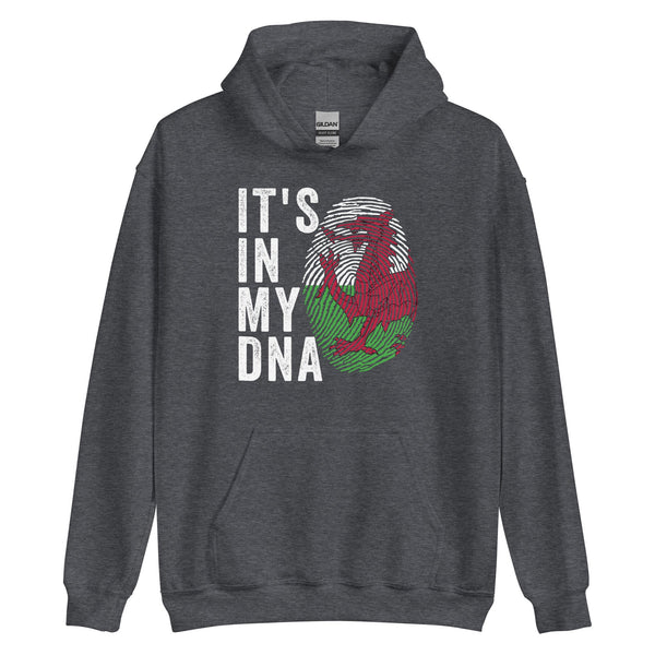 It's In My DNA - Wales Flag Hoodie