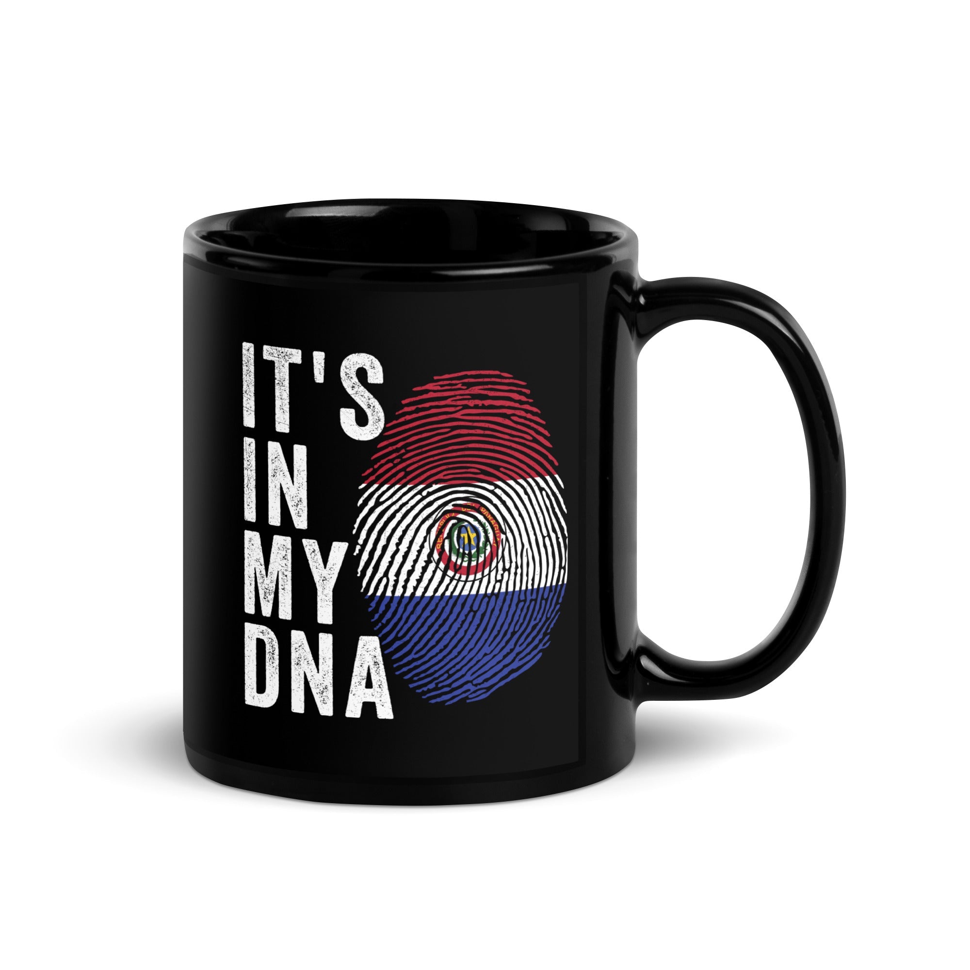 It's In My DNA - Paraguay 1990-2013 Flag Mug