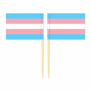 LGBTQIA2S+ Pride Flag Toothpicks - Cupcake Toppers (100Pcs)