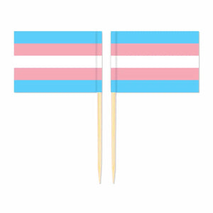 LGBTQIA2S+ Pride Flag Toothpicks - Cupcake Toppers (100Pcs)