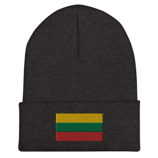 Lithuania Flag Beanie - Embroidered Winter Hat